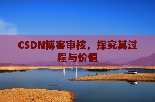 CSDN博客审核，探究其过程与价值