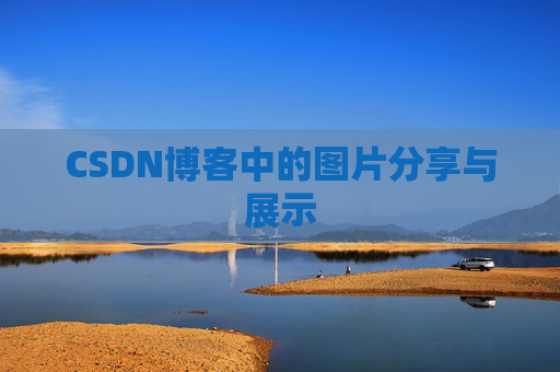 CSDN博客中的图片分享与展示